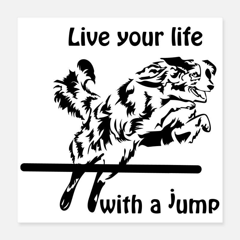 Agility Australian Shepherd Aussie Poster 40x40 cm