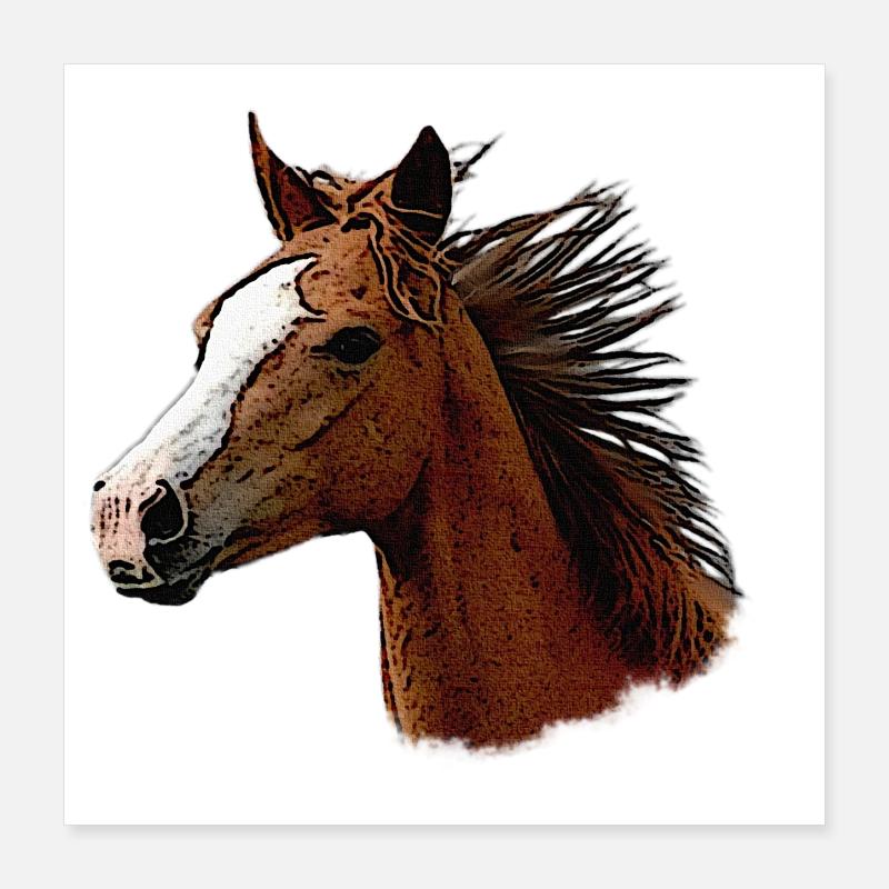 pferdegesicht seitlich, wunderschöne pferde Poster 40x40 cm