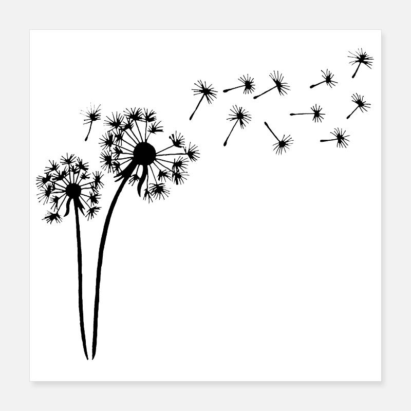 Fleur de pissenlit noir Poster 40 x 40 cm