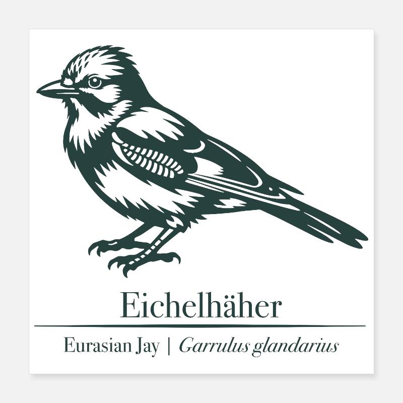 Jay Silhouette | Ornithology | Drawing Poster 16" x 16" (40x40 cm)