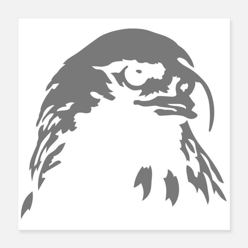 aigle Poster 40 x 40 cm