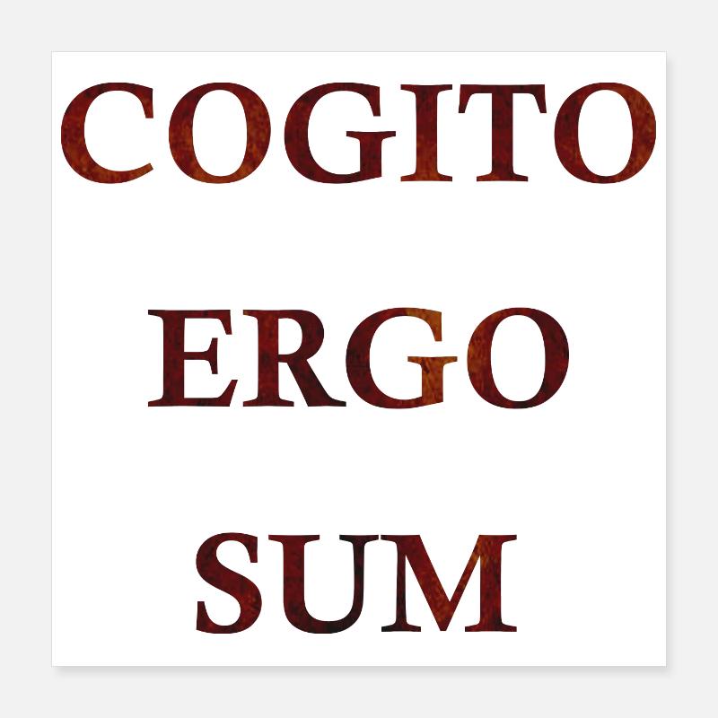 Cogito Ergo Sum Poster 40 x 40 cm