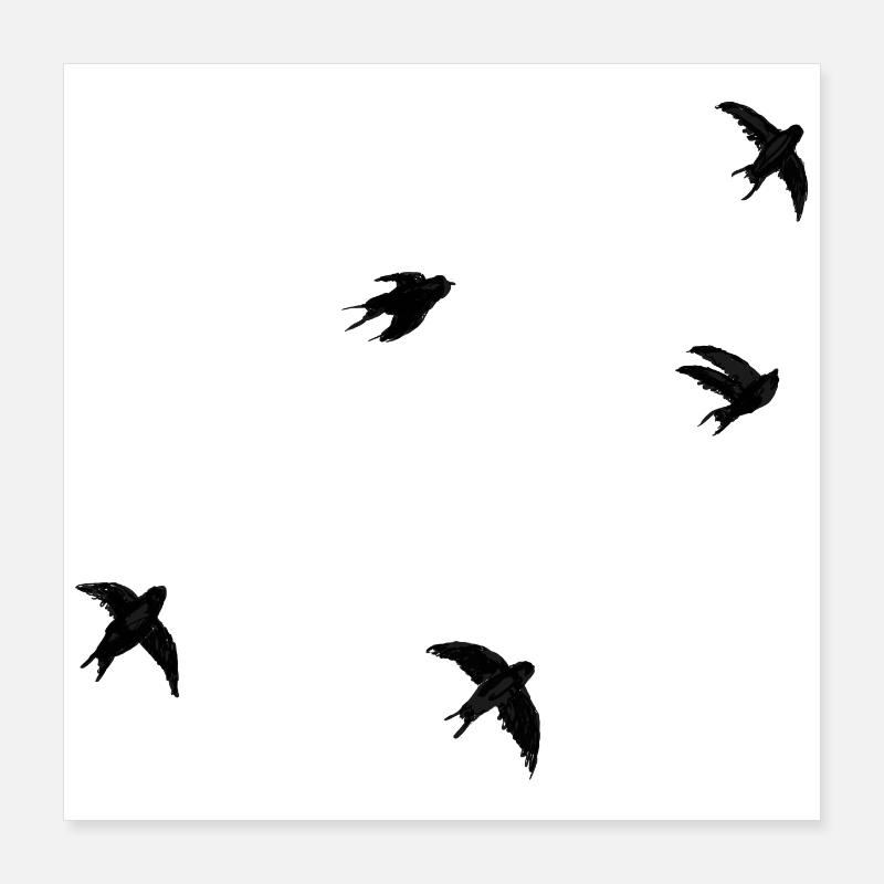 Martinets - Poster 40 x 40 cm - blanc