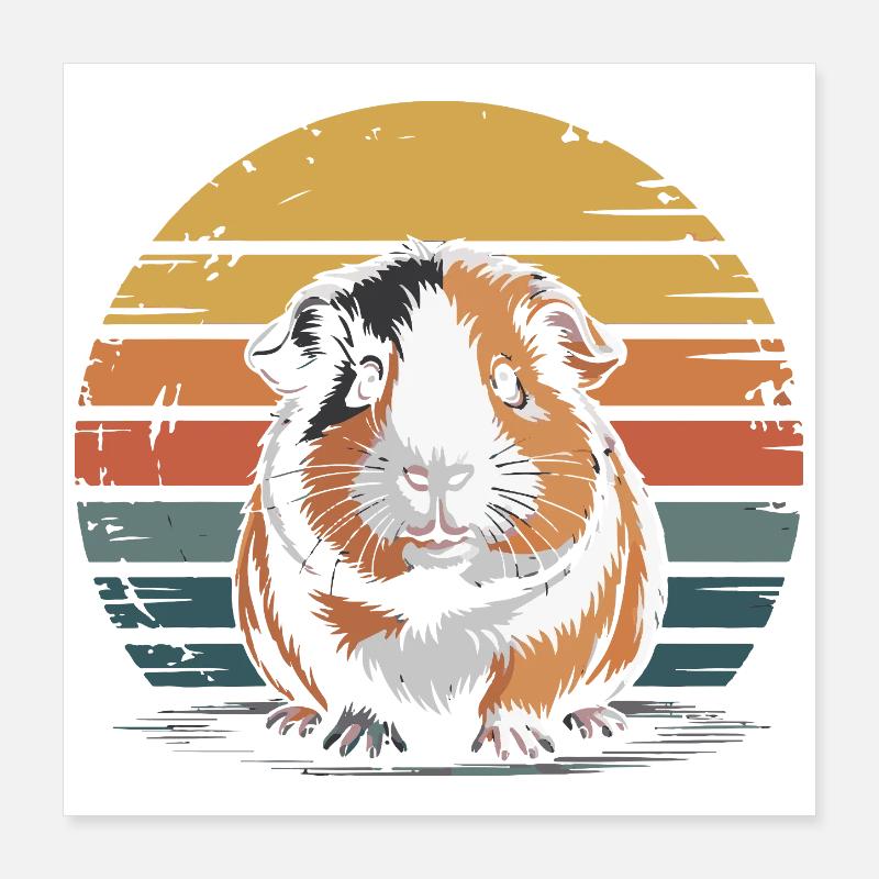 Cochon d’Inde, sucré Poster 40 x 40 cm