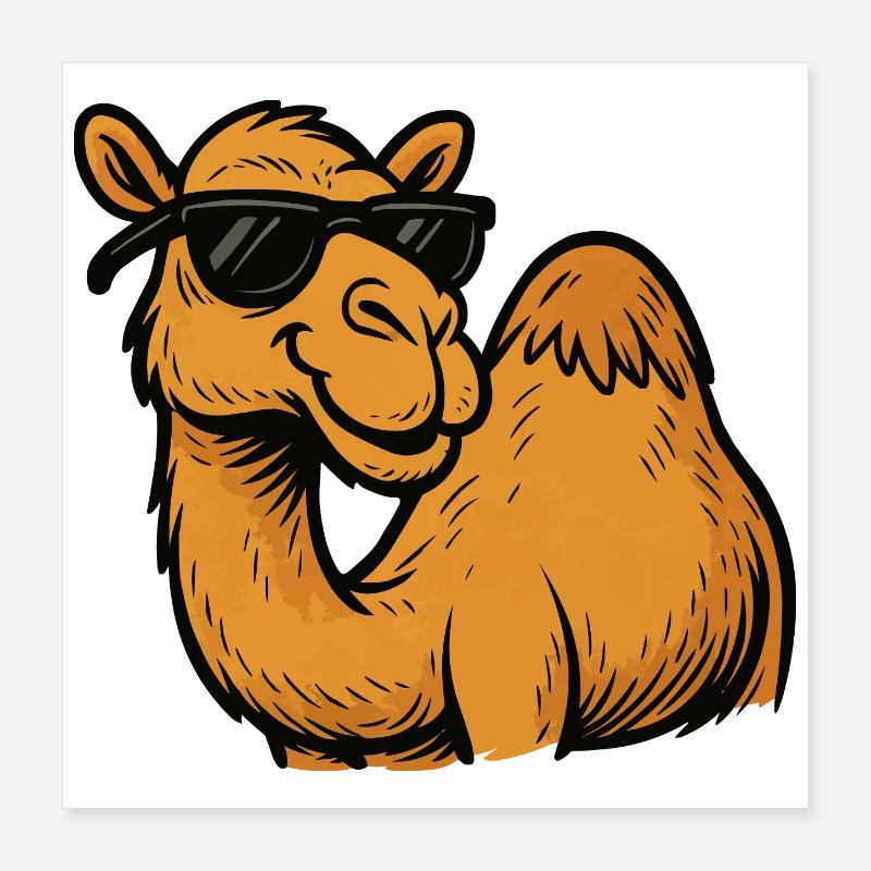 Kamel mit Sonnenbrille Poster 40x40 cm