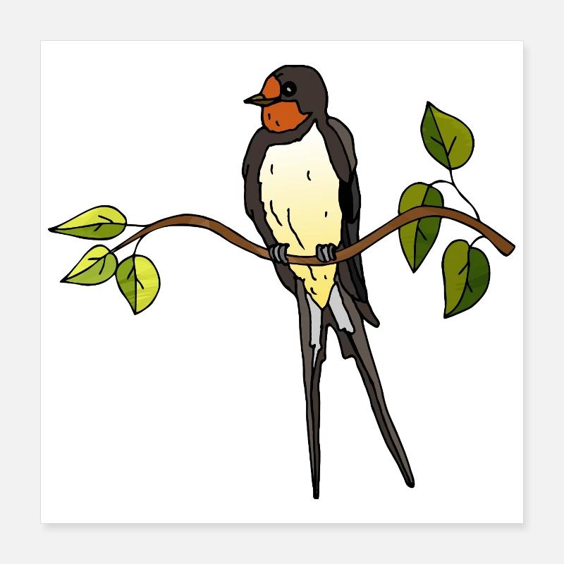 Hirondelle Poster 40 x 40 cm
