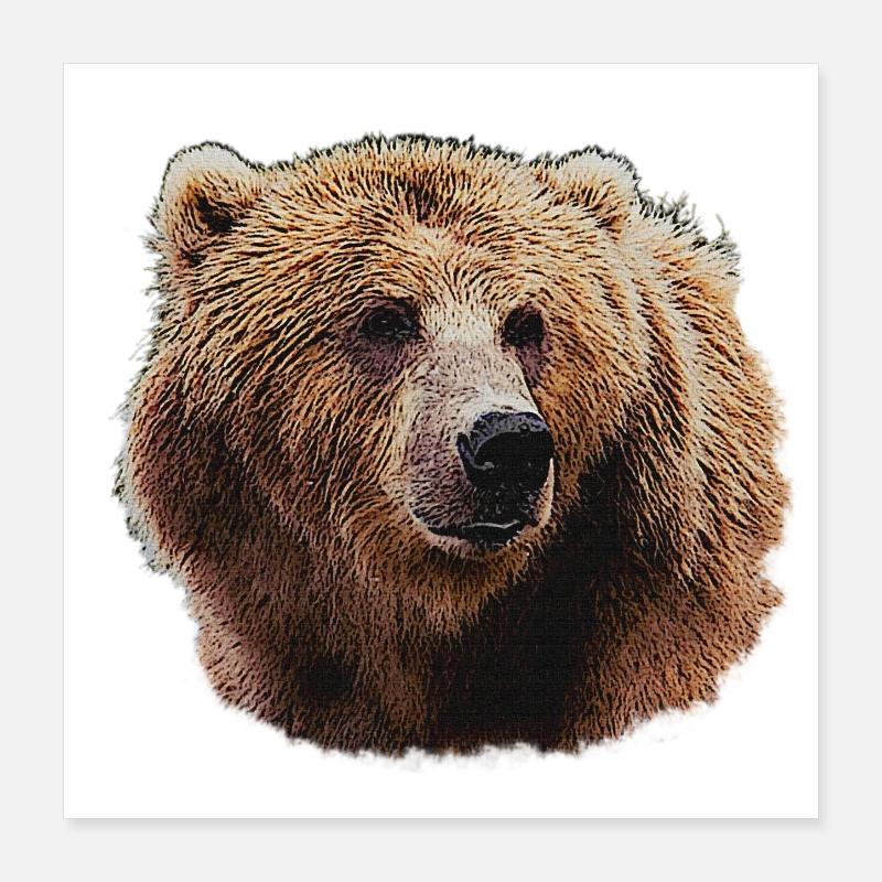 Bear Lover T-Shirts, Bear Head Night Pattern Poster 16" x 16" (40x40 cm)