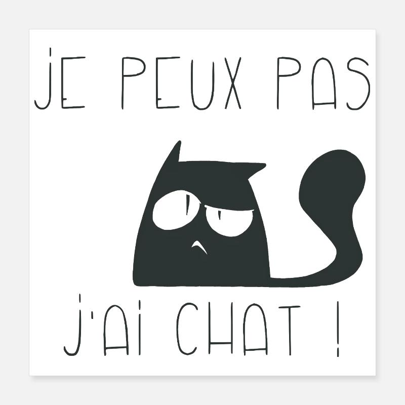 Je peux pas j'ai chat interrogateur Poster 40 x 40 cm