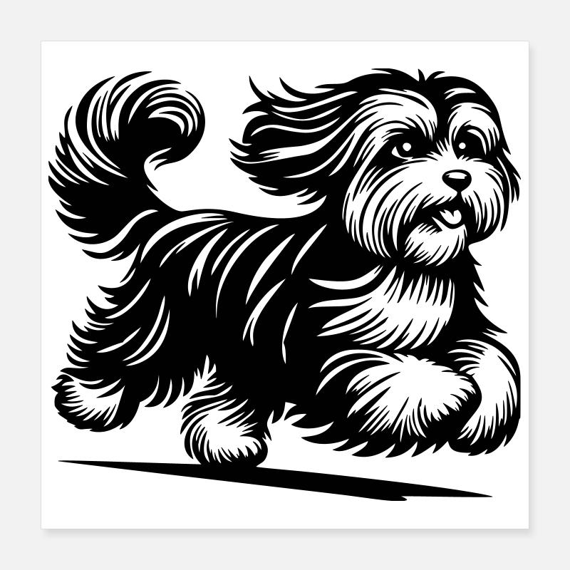 Havanais Poster 40 x 40 cm