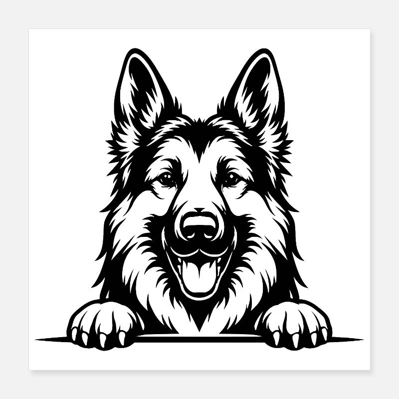 German Shepherd Portrait with Paws Poster 16" x 16" (40x40 cm)