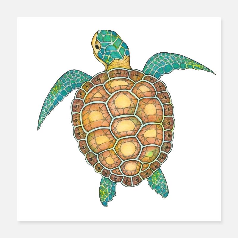 Sea Turtle Hand Drawn Poster 16" x 16" (40x40 cm)