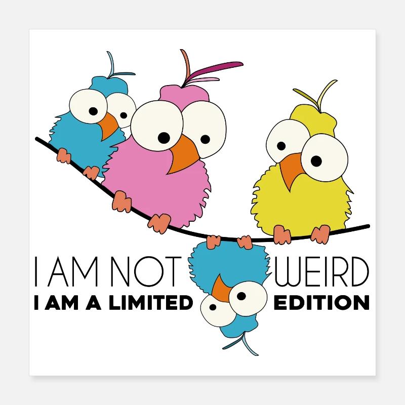 Nicht seltsam. Ich bin eine limitierte Edition. Vögel am Draht Poster 40x40 cm