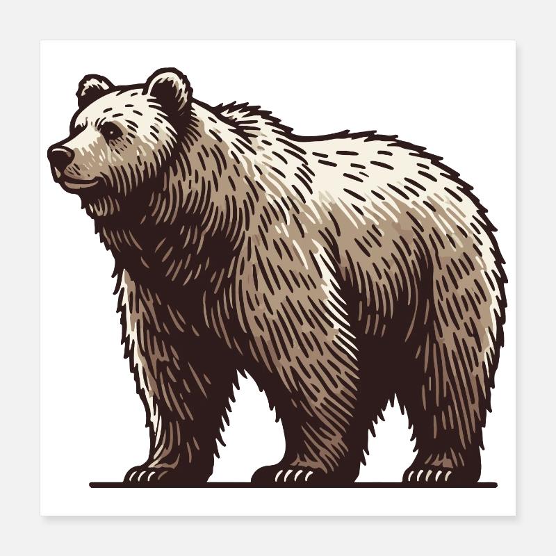 Grizzly Poster 40 x 40 cm