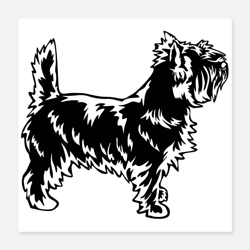 Cairn Terrier Poster 40 x 40 cm