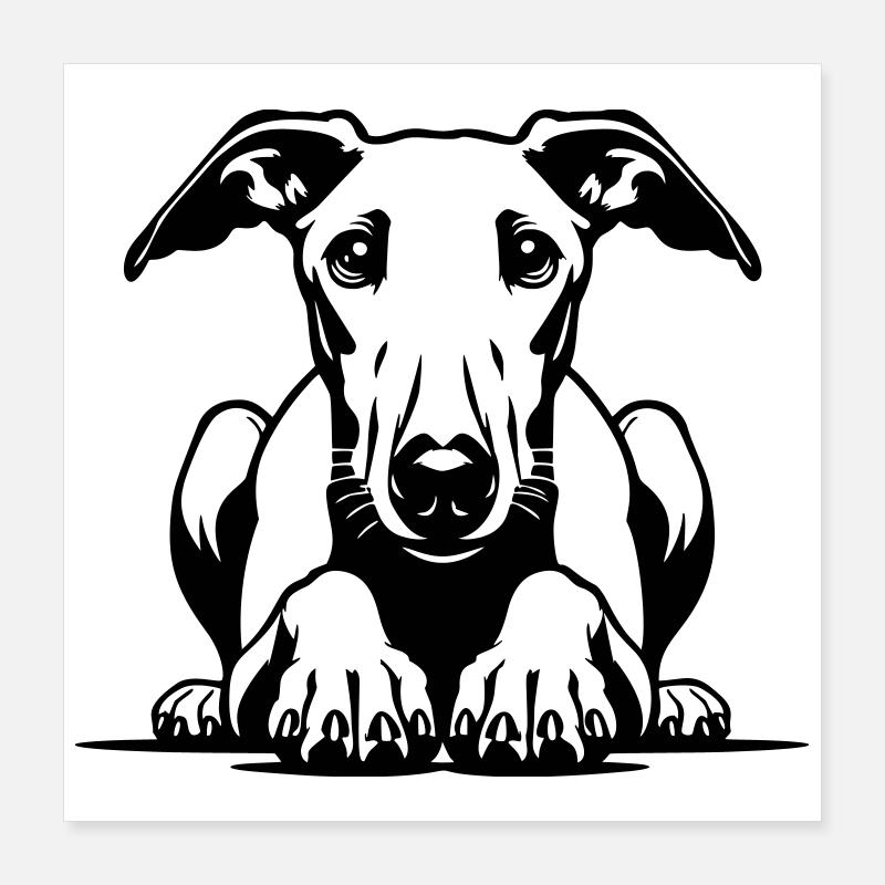Tête de whippet avec pattes Poster 40 x 40 cm