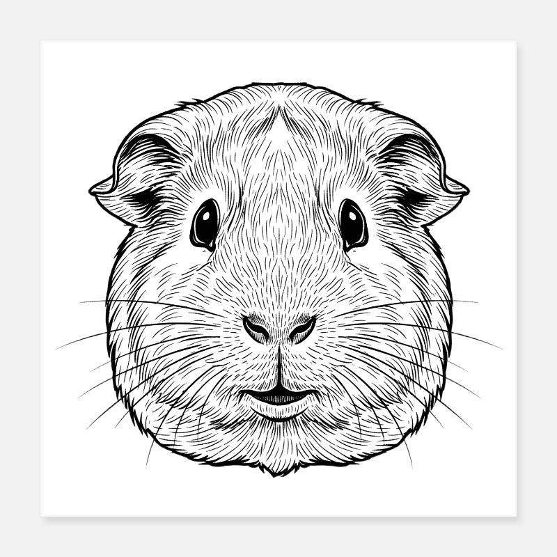 cobaye Poster 40 x 40 cm