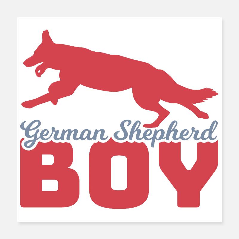 Schäferhund Junge Poster 40x40 cm