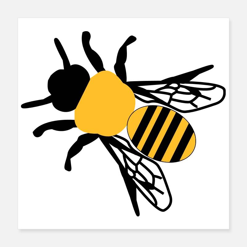 Biene klein Poster 40x40 cm