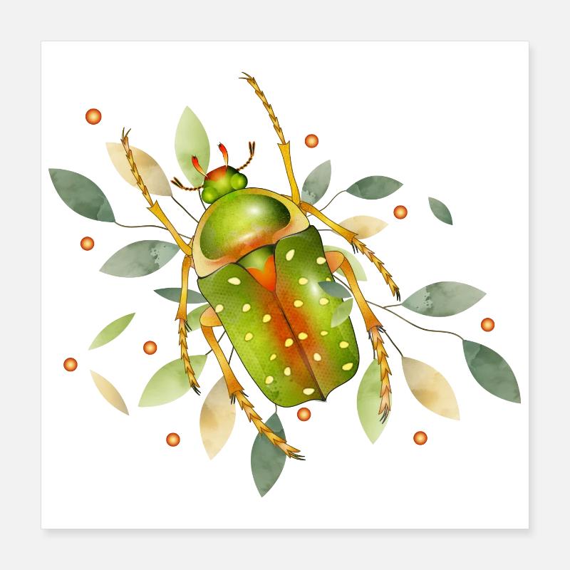 Stephanorrhina guttata insecte vert à feuilles Poster 40 x 40 cm