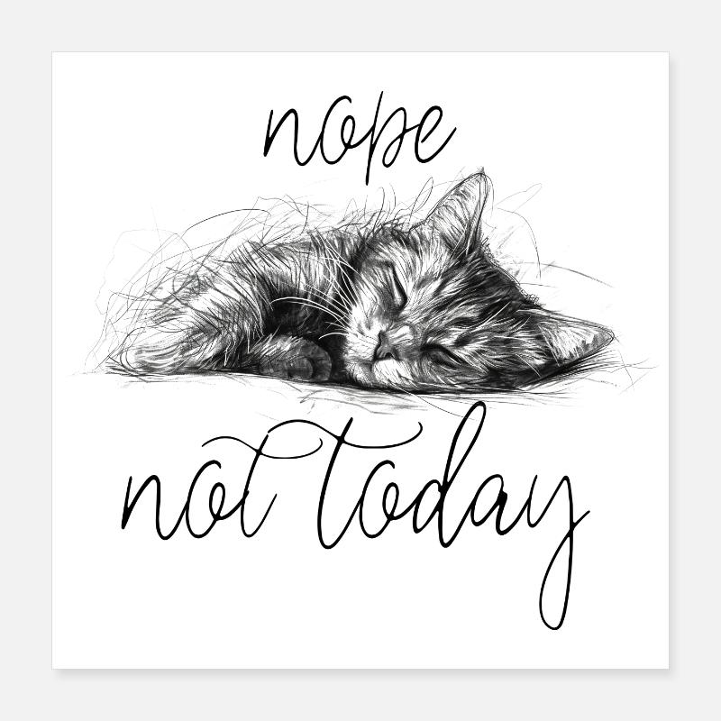 Sleeping kitten sketch style not today Poster 16" x 16" (40x40 cm)