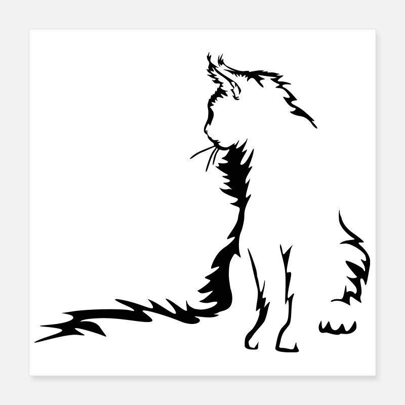 Maine Coon Katze Poster 40x40 cm