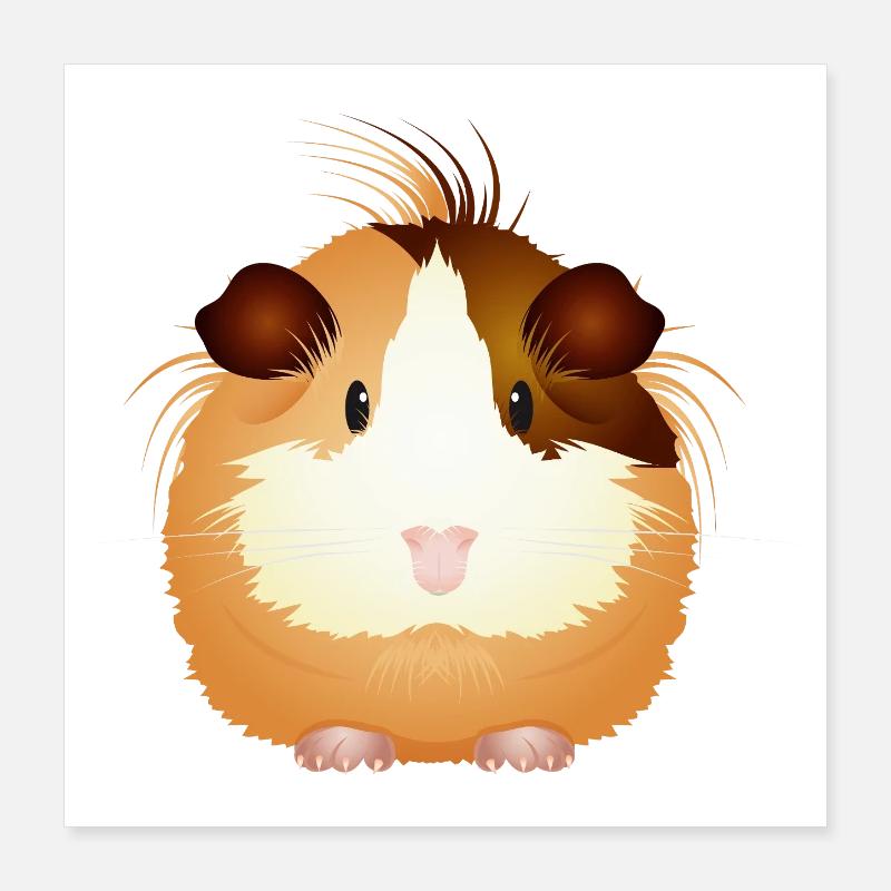 Cochon d’Inde sucré – à tomber amoureux ! Poster 40 x 40 cm