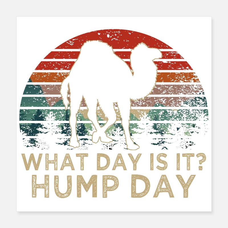 What Day Is It Hump Day Camel Retro Sunset Poster 16" x 16" (40x40 cm)