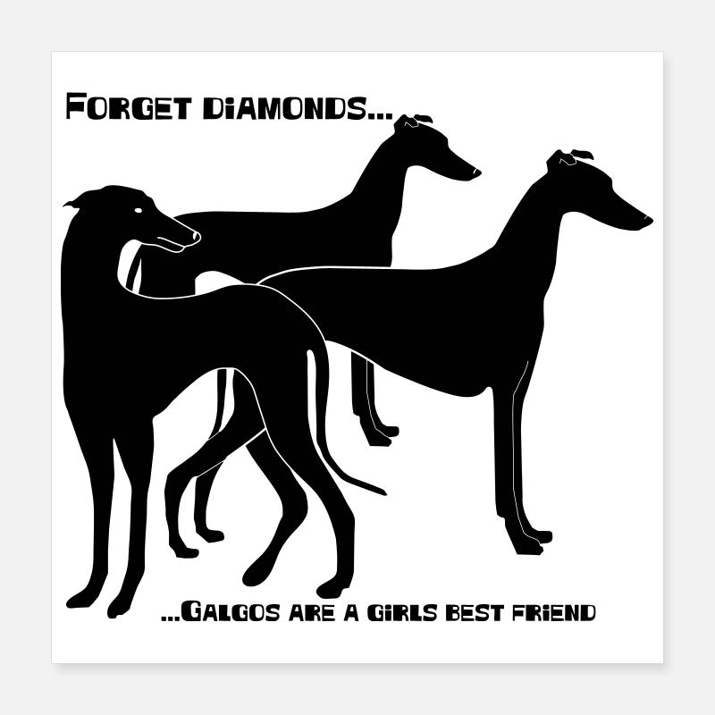 forget_diamonds..Galgos Poster 40x40 cm