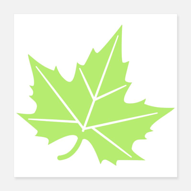 Plane Tree Leaf Design Poster 16" x 16" (40x40 cm)