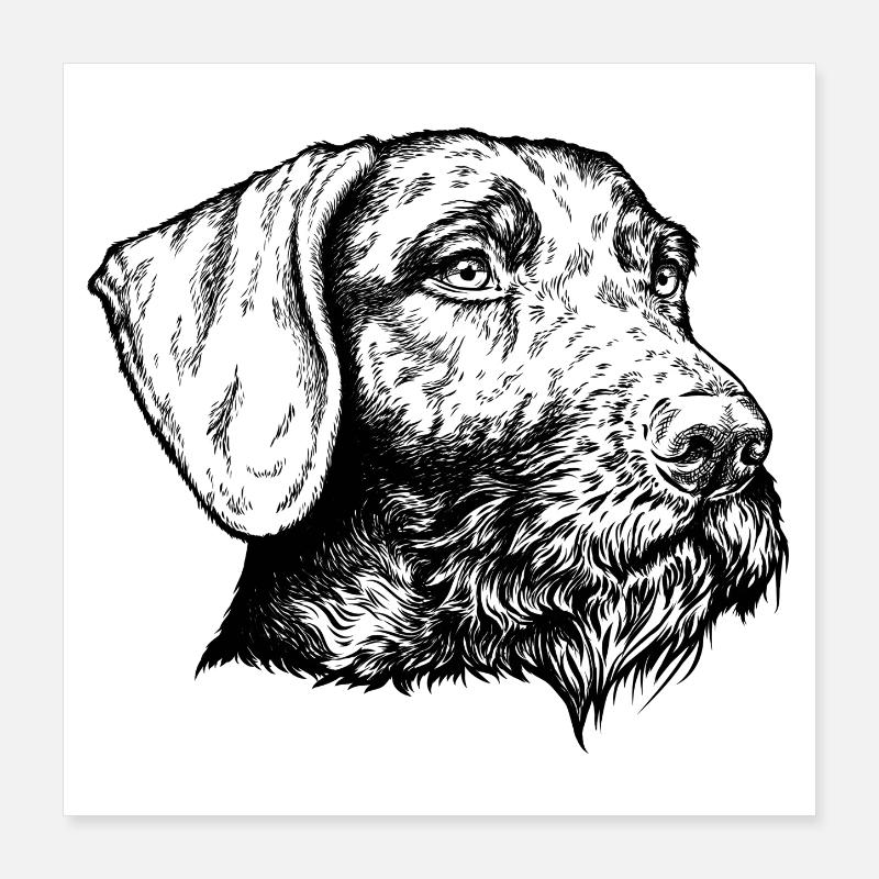 German Wirehaired Portrait Poster 16" x 16" (40x40 cm)
