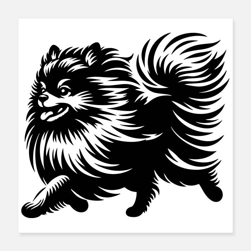 Dwarf spitz Poster 16" x 16" (40x40 cm)