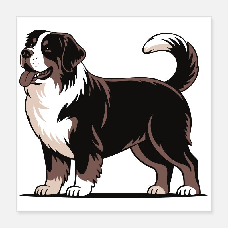 Bouvier bernois Poster 40 x 40 cm