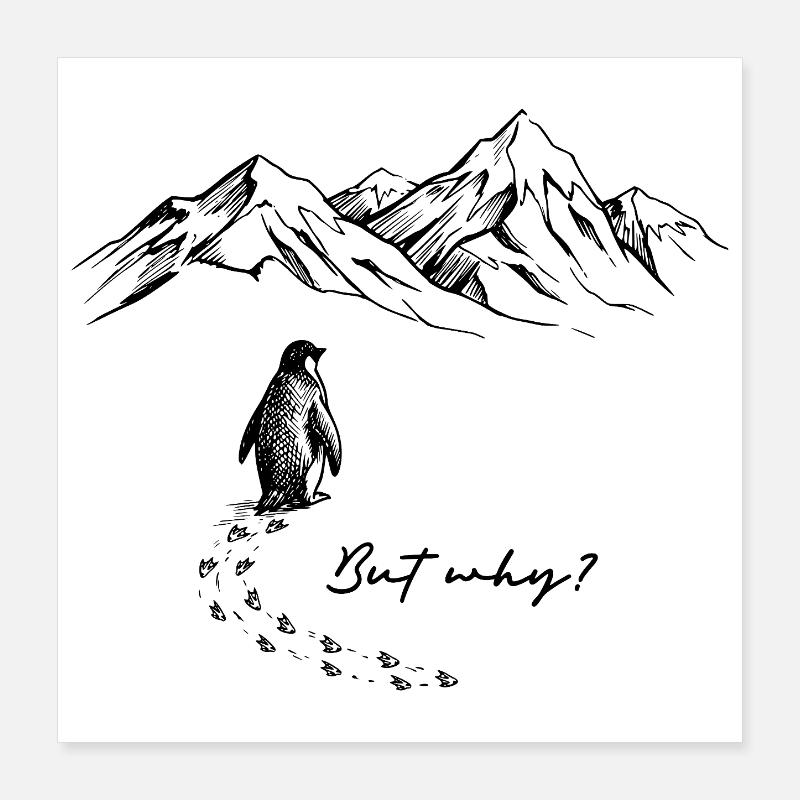 But why? Pinguin Meme Antarktis Schnee Spuren Eis Poster 40x40 cm