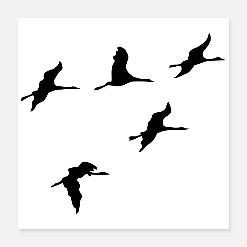 oiseau Poster 40 x 40 cm
