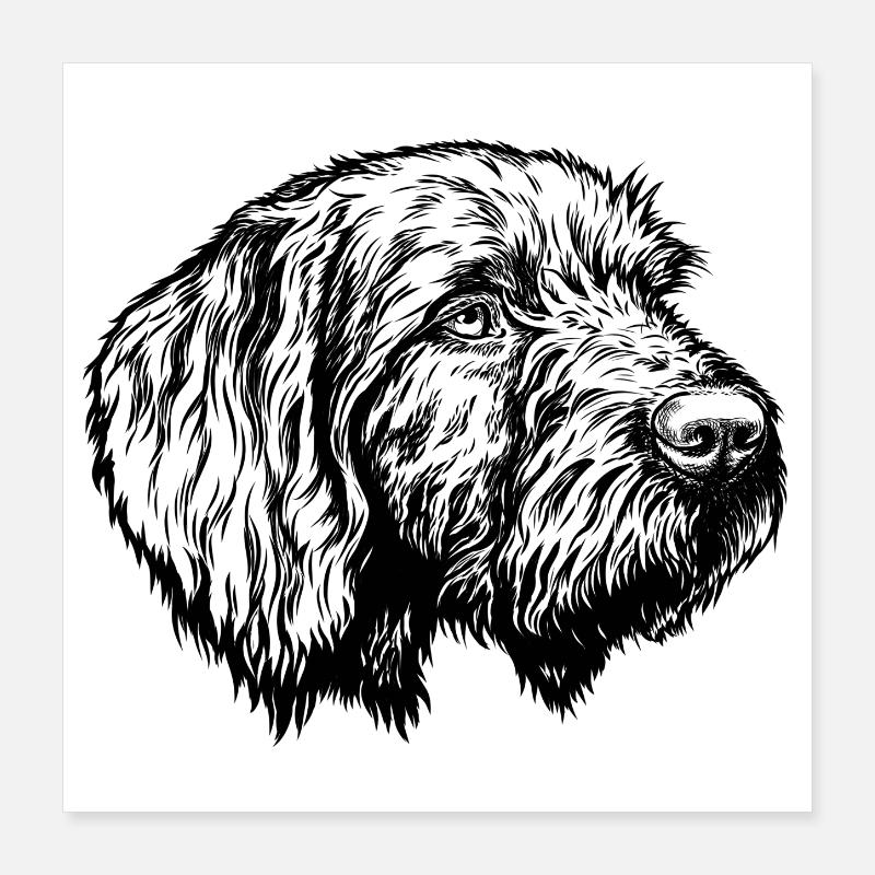 Pudelpointer Portrait Poster 16" x 16" (40x40 cm)