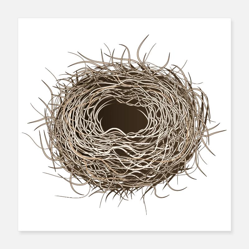 empty bird's nest or easter basket for spring Poster 16" x 16" (40x40 cm)