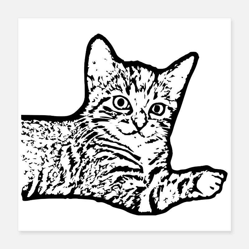 Chat Noir Chaton Chaton Poster 40 x 40 cm