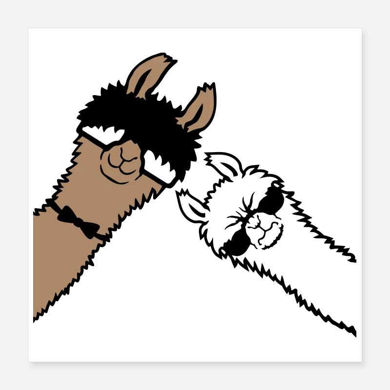 2 Cool Lamas Lunettes de soleil Funny Nerd Friends Poster 40 x 40 cm