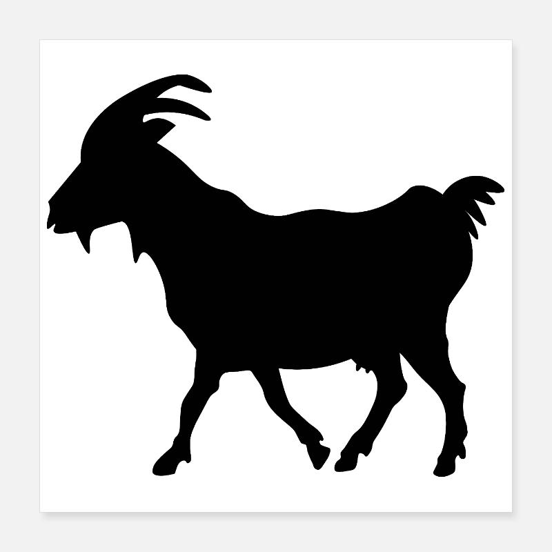 Noir de chèvre Poster 40 x 40 cm