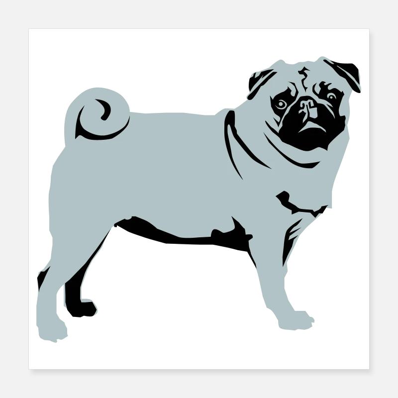 Mops Poster 40x40 cm