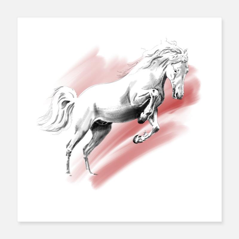 Pferd Poster 40x40 cm