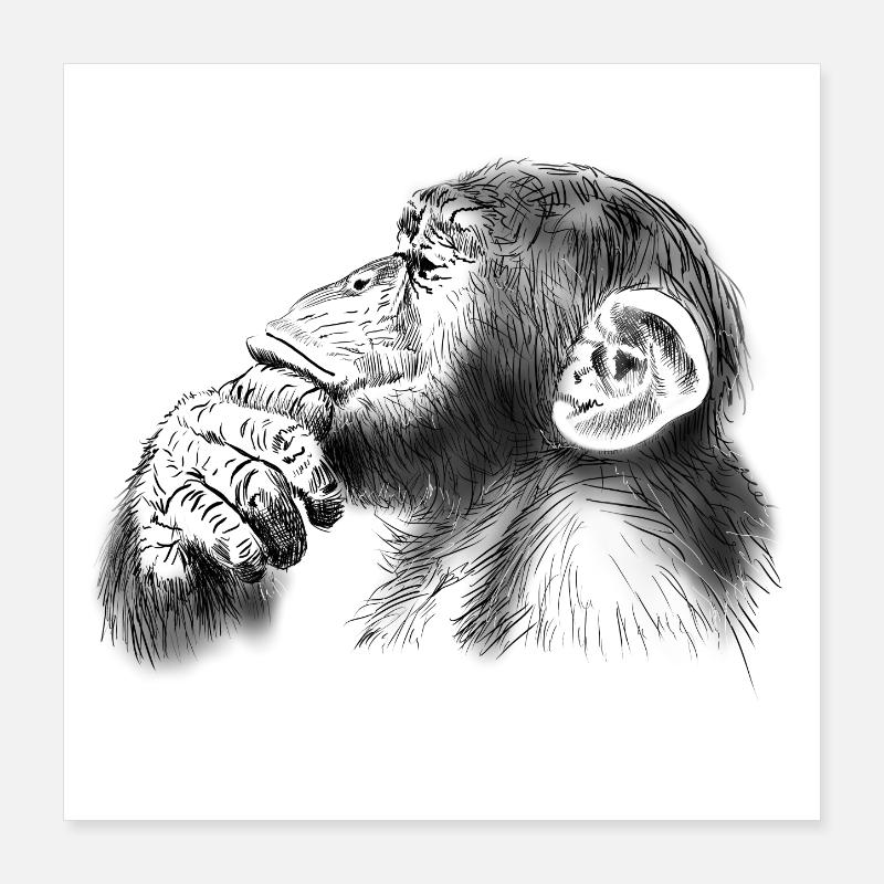 chimpanzee Poster 16" x 16" (40x40 cm)