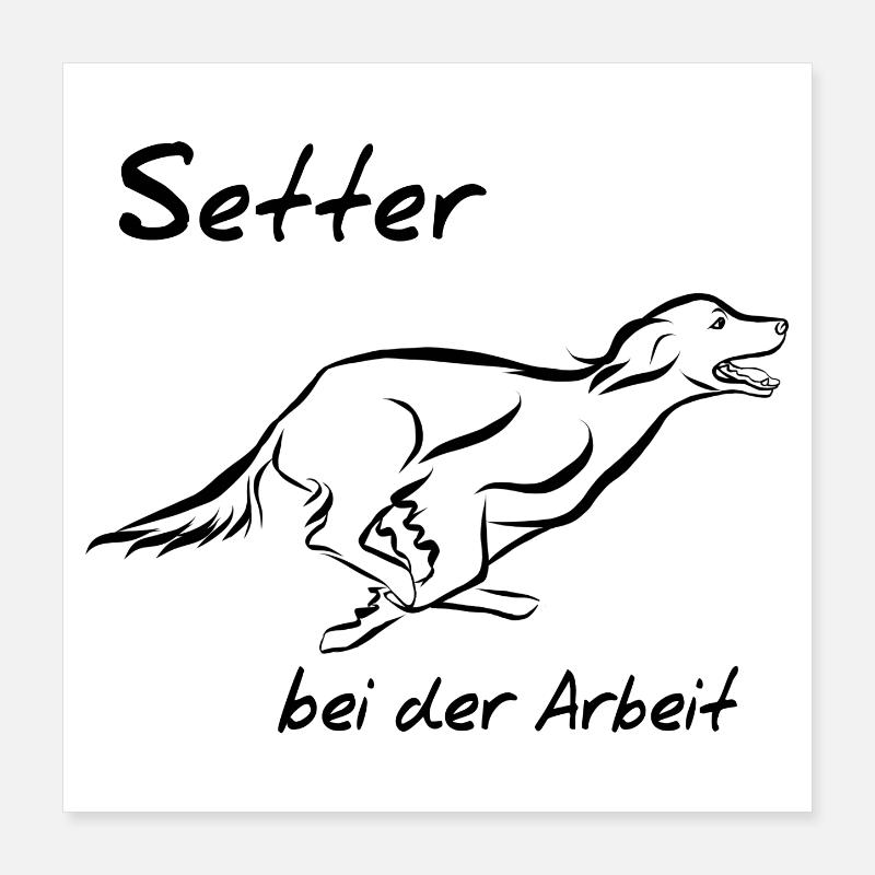 Setter bei der Arbeit Poster 40x40 cm