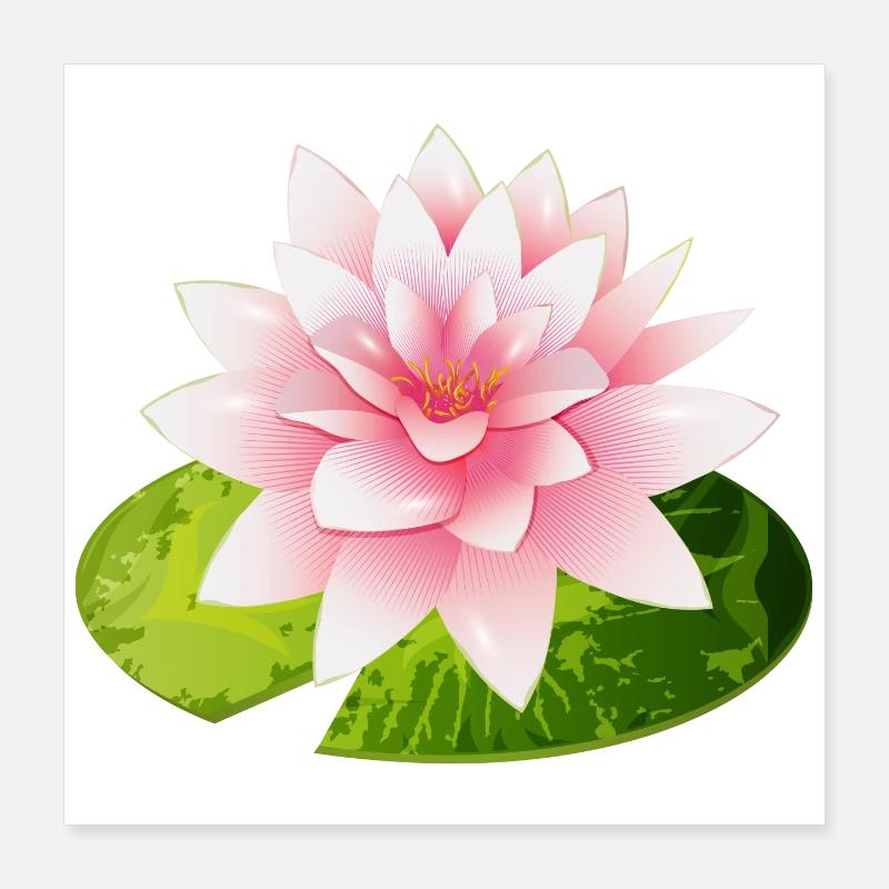 nénuphar brillant avec pétale de nénuphar vert Poster 40 x 40 cm