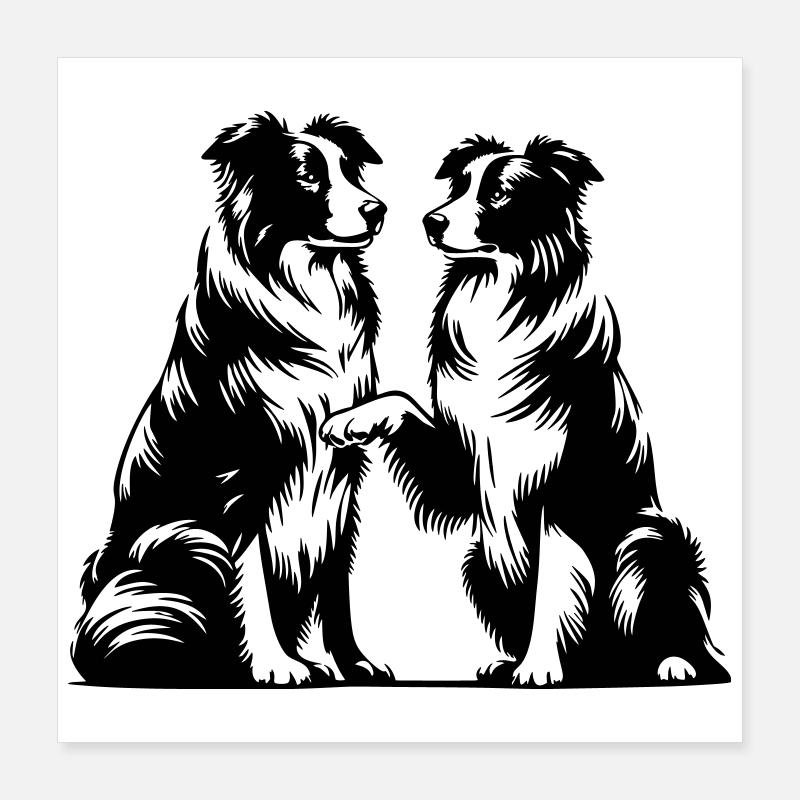 Border Collie Poster 40 x 40 cm