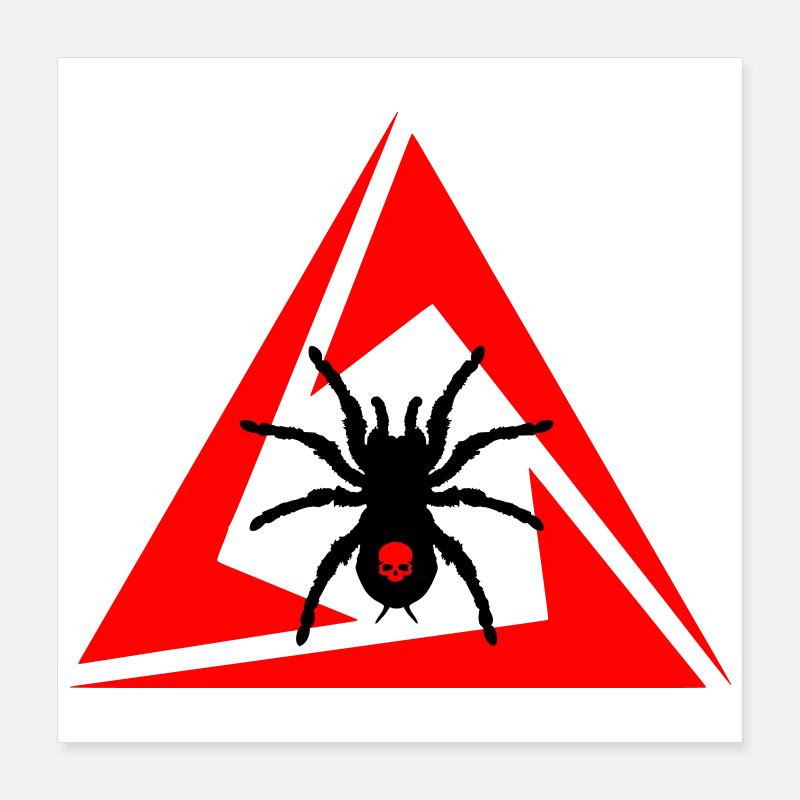 Spinne Poster 40x40 cm