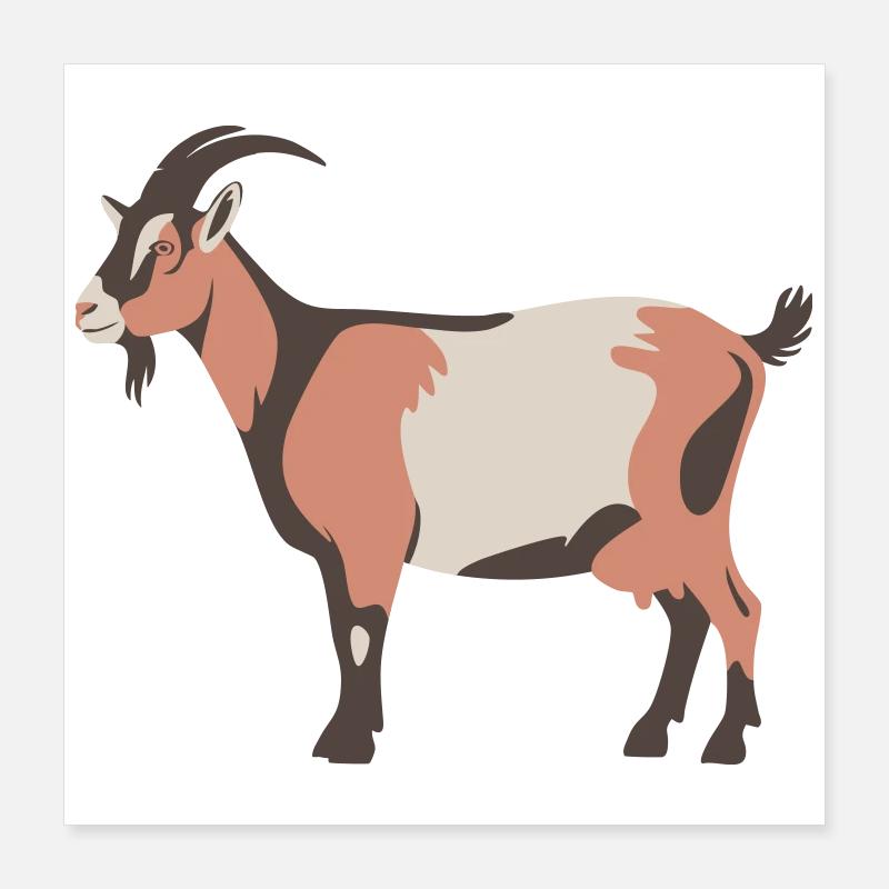 Chèvre Poster 40 x 40 cm