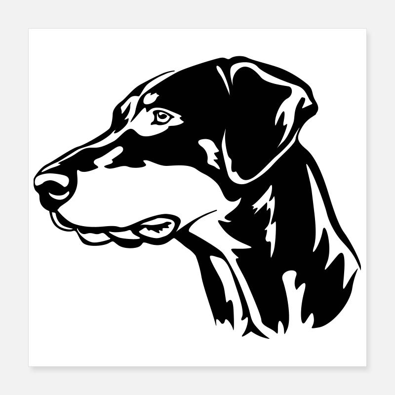 Tête de Doberman Poster 40 x 40 cm