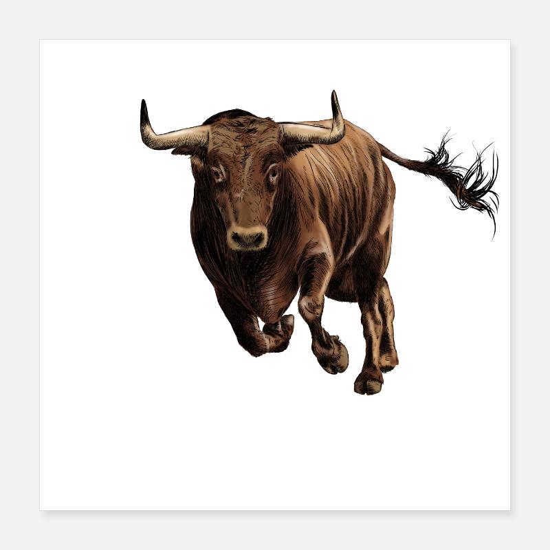 Bull Poster 40 x 40 cm