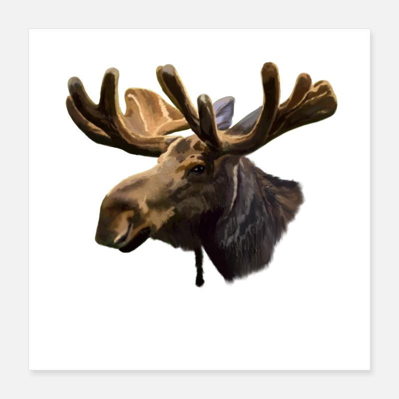 Elch Poster 40x40 cm